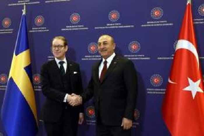 Erdogan Puppe R ckschlag F r Schwedens Nato Antrag News Deutschland