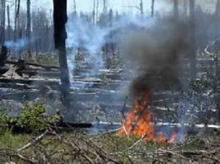 Ausbreitung Von Brandherden: Waldbrand In Brandenburg Wird Noch Tage ...