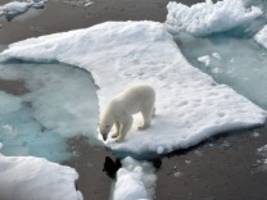 Klimawandel: Möglicherweise bald mehr Regen als Schnee in der Arktis