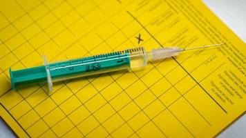 Auffällige Flucht: Falsche Impfpässe konfisziert