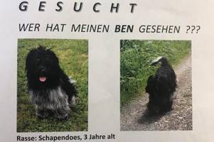 Skurriler Prozess: Augsburger raubt den Hund seiner Mutter