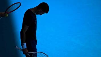 Serbischer Präsident Aleksandar Vu?i?: Novak Djokovic wird schikaniert
