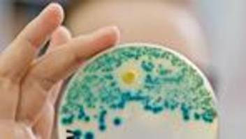 Antibiotikaresistenz: Multiresistente Keime verursachen weltweit Millionen Todesfälle