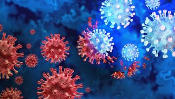 Experten befürchten Twindemic - Grippe könnte mit voller Wucht zurückkehren: Eine Gruppe ist besonders gefährdet