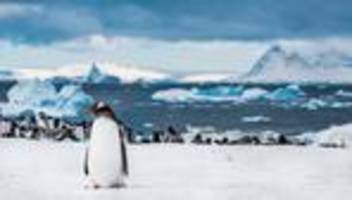 forschung in der antarktis: nur die pinguine sagen hallo