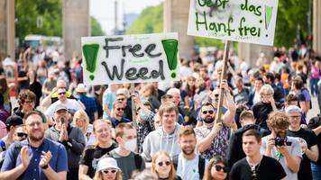 gesellschaft: demo für rasche cannabis-legalisierung in berlin