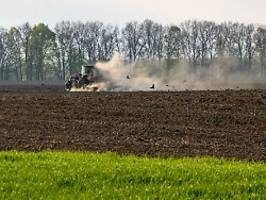 Ukrainische Agrarlager blockiert: Putin visiert Getreiderekord und mehr Exporte an