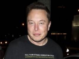 Elon Musk: Ignoriert den Troll