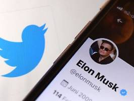 Tesla-Aktie stürzt ab: Tweets kosten Musk 12 Milliarden Dollar