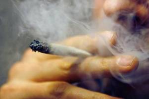Ampel plant bei Cannabis-Legalisierung Höchstmenge zwischen 20 und 30 Gramm