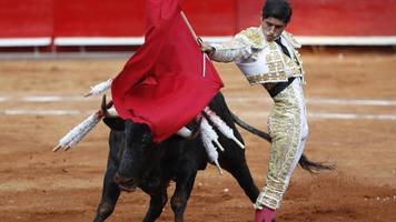 mexiko: richter verbietet vorerst stierkämpfe in weltgrößter arena
