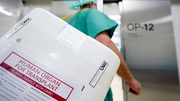 gesundheit: csu-politiker kritisiert lauterbach für organspende-vorstoß
