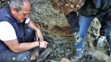 Geschichte: Fund in Bayern bringt Erkenntnisse zum Aussterben der Dinos