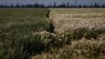 Getreide aus der Ukraine: Der Weizen muss raus