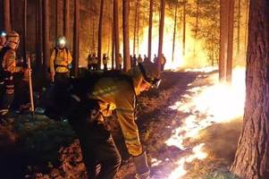 Waldbrand in Brandenburg: Wann kommen Regen und Gewitter?