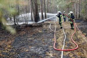 Die Stadt Augsburg warnt vor hoher Waldbrandgefahr