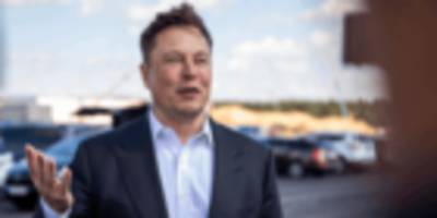 Elon Musk soll in Twitter-Verwaltungsrat einziehen