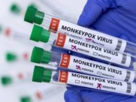 Infektionskrankheiten: WHO stuft Affenpocken nicht als Notfall ein - vorerst