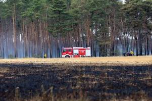 Waldbrand unter Kontrolle: Feuerwehr weiter im Großeinsatz