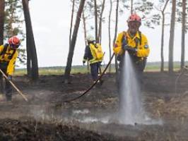 Wind könnte neue Brände bewirken: Glutnester in Brandenburg sorgen Feuerwehr