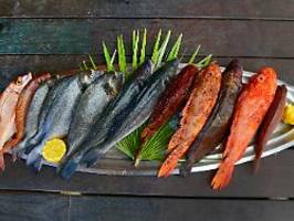 Lieber Fisch als Botox: Wie gesund ist pescetarische Ernährung?