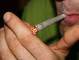 Geplante Cannabis-Legalisierung: Drogenbeauftragter bringt THC-Obergrenze ins Spiel