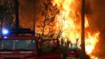 Hitzewelle: Wo in Europa Waldbrände ausgebrochen sind