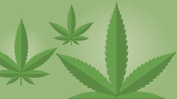 infografik: cannabis: so viel dürfte die legalisierung dem staat einbringen