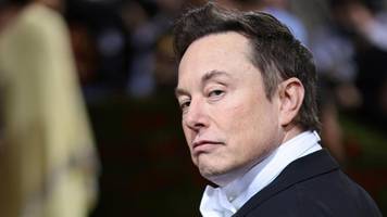 Elon Musk: Hatte schon ewig keinen Sex mehr
