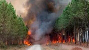 Waldbrand bei Bordeaux wieder aufgeflammt