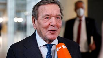 Verfassungsrechtler Scholz: Schröders Chancen stehen gut