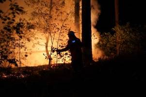 Waldbrandgefahr steigt noch einmal: Regen ab Donnerstag