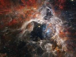 blick in sternenkinderstube: james webb-teleskop zeigt details des tarantel-nebels