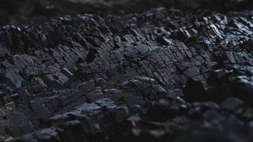 Exxaro, Talanx, Albemarle: Die Anlagetipps der Woche: Kohle vom Kap