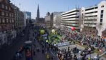 Fridays for Future in Hamburg: Verständnis kostet nichts