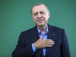 botschafter einbestellt: türkei empört kubickis tiervergleich mit erdogan