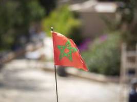 empörung über algerien-shirt: marokko verlangt von adidas trikot-rückzug