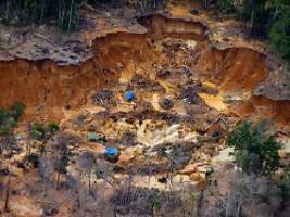 Illegale Minen im Amazonas: Die Suche nach Gold hinterlässt eine Wüste
