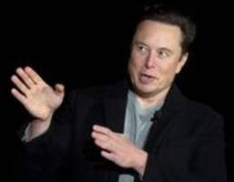 Reaktionen auf Musk: Kein Ukrainer wird deinen Tesla-Scheiß kaufen