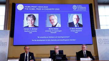 Wissenschaft: Chemie-Nobelpreis geht an drei Molekülforscher
