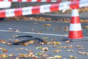 Berliner Radfahrerin nach Unfall mit Lkw für hirntot erklärt