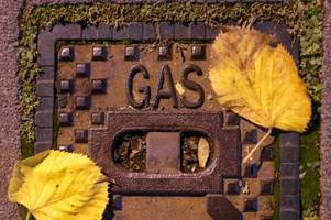 Habeck verteidigt Gaspreisbremse gegen Kritik