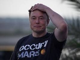 Nachfolger gefunden?: Musk soll neuen Tesla-Chef im Blick haben