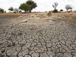 Summe und Geberländer noch offen: Klimakonferenz einigt sich auf Fonds gegen Klimaschäden