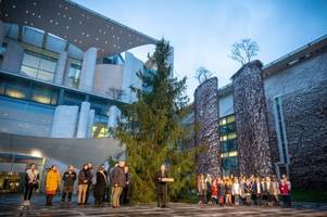 Brandenburger Weihnachtsbaum vor dem Kanzleramt