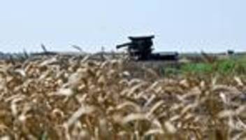 Ukraine Überblick: Russland erntete Getreide in Ukraine, Macron will mit Putin sprechen