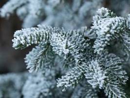 Schnee, Glätte und Eiseskälte: Winter zieht ein - bleibt er bis Weihnachten?