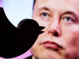 Elon Musks Arbeitsbedingungen: Ermittlungen wegen Betten in Twitter-Büro