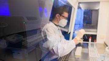 PCR-Tests: Weder sachgerecht noch erforderlich