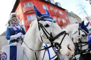 im karneval ist schluss mit lustig: jecken dürfen nur noch ohne handy aufs pferd